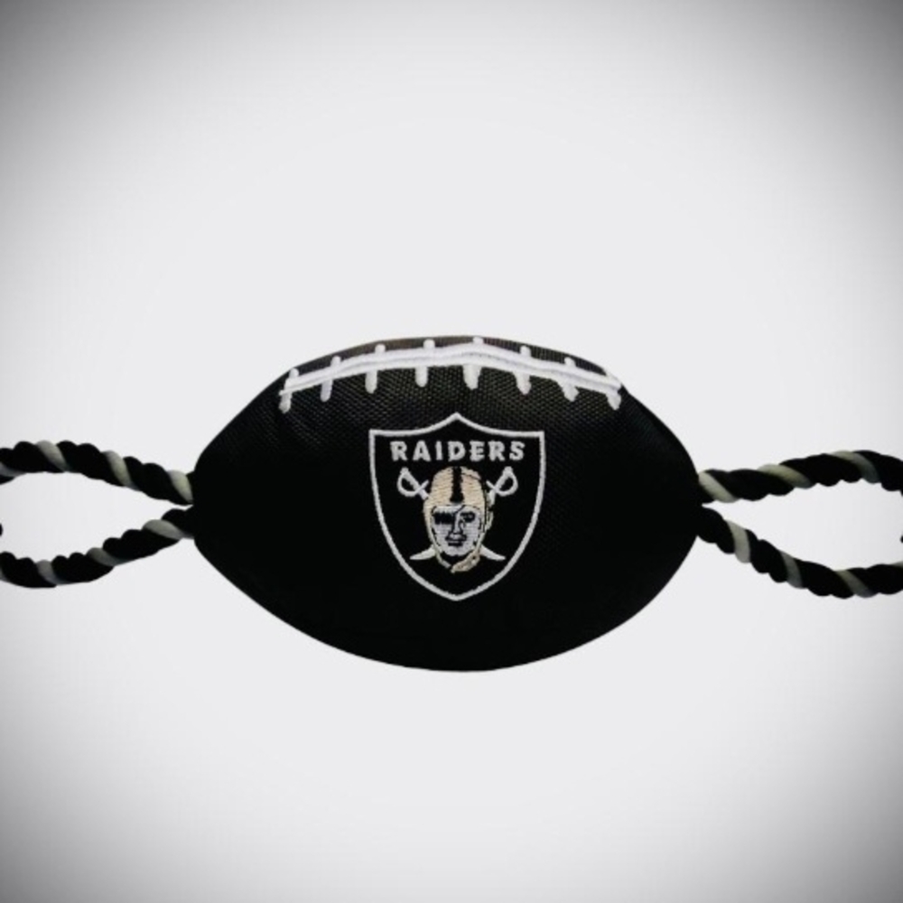 PET'S FIRST NFL NYLON FOOTBALL. LIKE NEW.